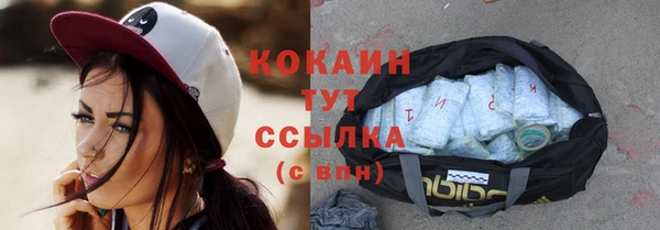 индика Вязники