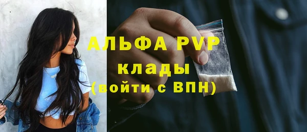 индика Вязники
