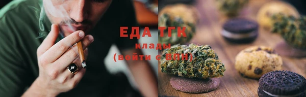 индика Вязники
