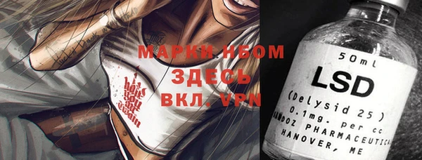 индика Вязники