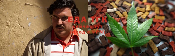 индика Вязники