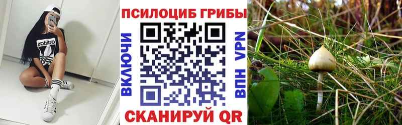 Псилоцибиновые грибы ЛСД  Купить  Когалым 